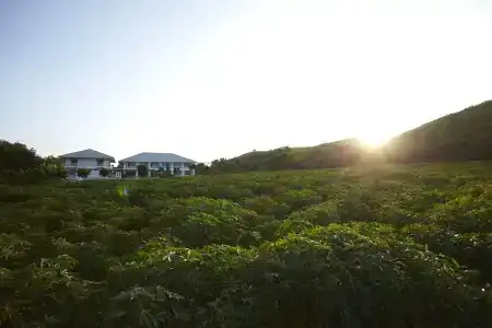 Santosha Health Lifestyle - 10