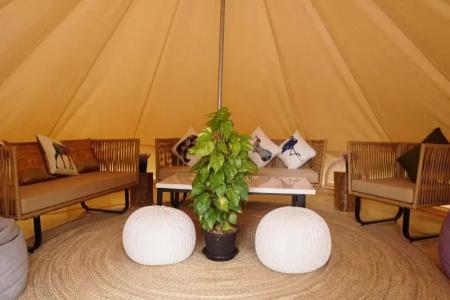 Roost Glamping - SHA Certified - 13