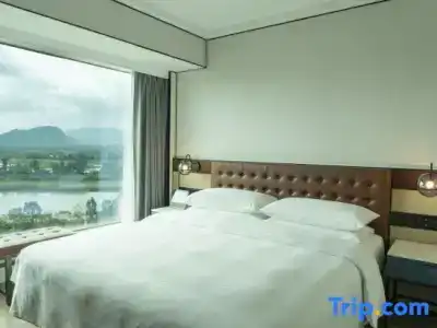 Four Points by Sheraton Shenzhen - 76