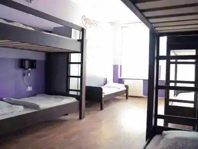 Sunflower Hostel Berlin - 50