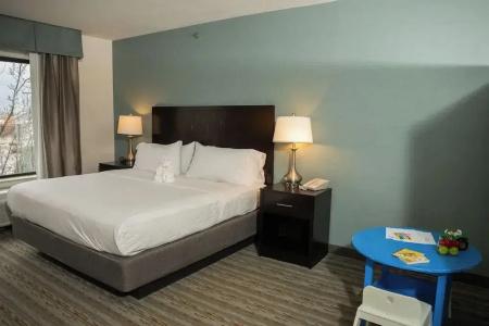 Holiday Inn Express & Suites-Summit Township, an IHG - 53