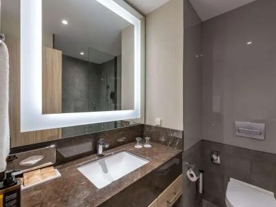 Saburtalo Hotel by Mercure - 25