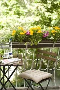 Boutique Splendid-Dollmann - 42