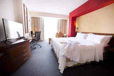 Holiday Inn Express Guadalajara Expo, An Ihg - 66