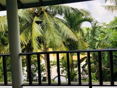 Tinara River Inn, Weligama - 17