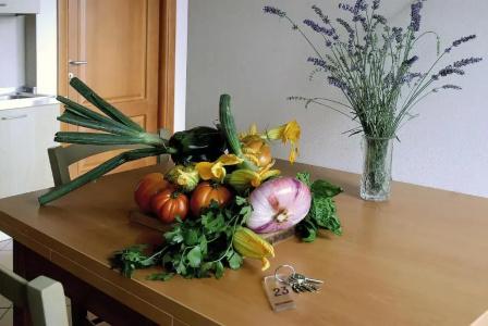 Residence Oleandro - 84