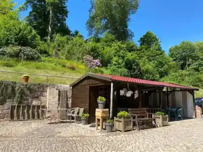 Pension Gelpkes Mühle - 4
