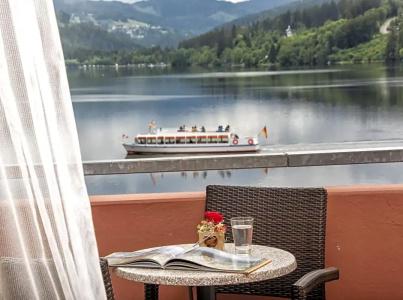 Maritim Titisee - 99