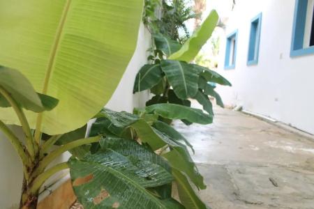 b&b Villa Luna - 51