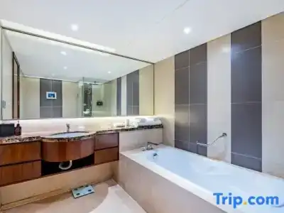 Grand Skylight Catic - 137