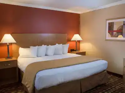 Best Western Ambassador Inn & Suites - 133