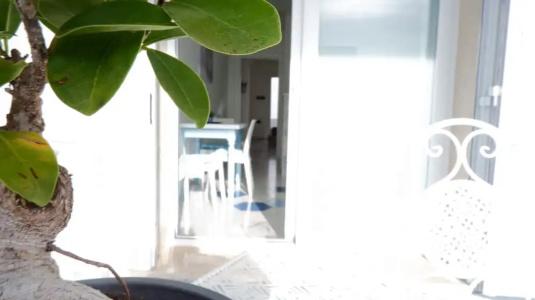Kalinifta Rooms Apartment - 186