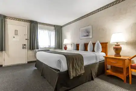 Quality Inn & Suites - 42
