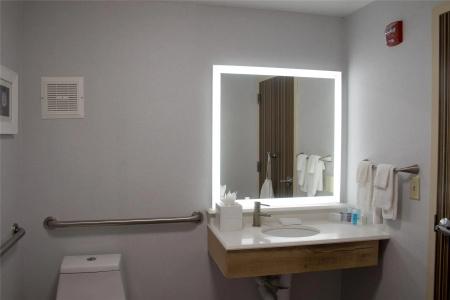Hampton Inn & Suites Denver-Speer Boulevard - 36