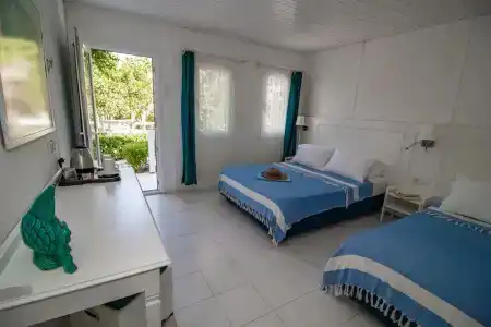 Blue & White - 2