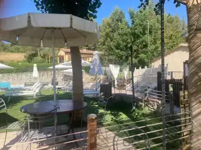 Gatto Bianco Tizzauli - 32