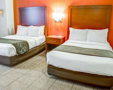 Comfort Suites South - 4