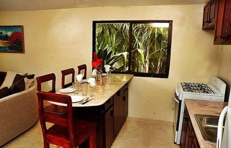 El Cabarete Spa Resort all-Inclusive - 20