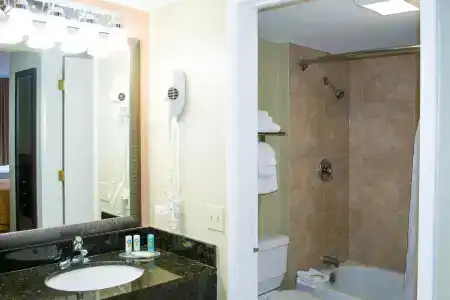 Quality Inn & Suites By the Parks - 29