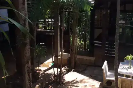 Sam's Jungle - 1