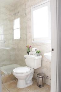 Boutique Tremo - 32