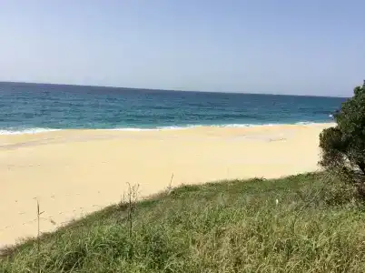 Marine Blue Yakushima - 17