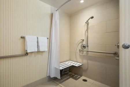 Sheraton Carlsbad Resort & Spa - 23