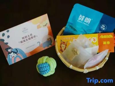 Ascott Raffles City - 129