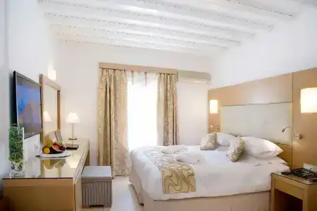 Dionysos Luxury Mykonos - 69