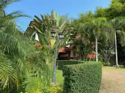 Pura Vida - 85