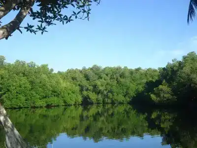 Lagoon - 9