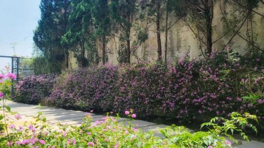 The Luxe Da Lat - 327