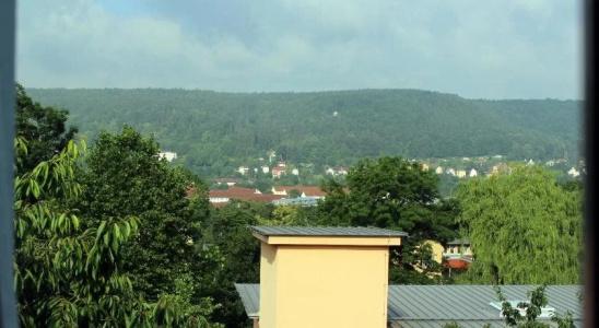 Wolke - 13
