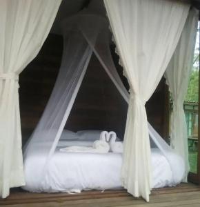 Jungle Koh - 15