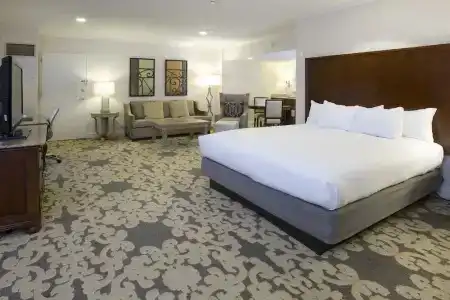 Hilton New Orleans Riverside - 96