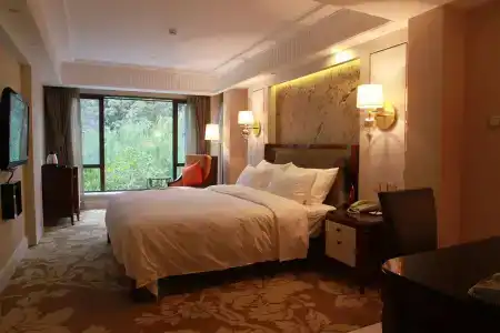Hangzhou Dahua - 4