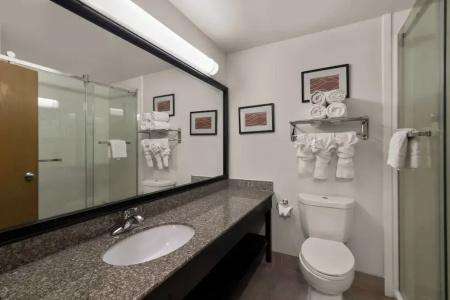 Comfort Inn & Suites - 50
