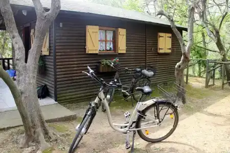 Il Paese Di Ciribì - 49