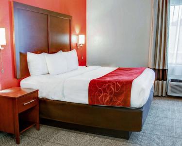 Comfort Suites South - 46
