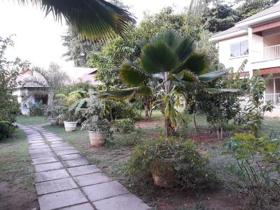 Villa Rafia - 8