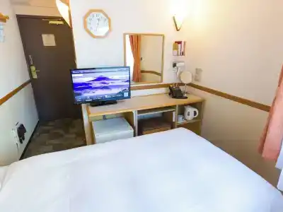 Toyoko Inn-eki Minami-guchi No.1 - 53