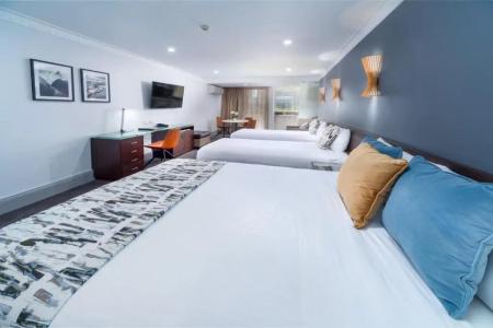 Hyde Park Inn - 80