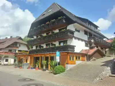 Hochschwarzwald-Hof - 16