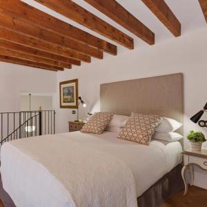 Gloria de Sant Jaume - 28