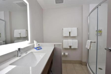 Holiday Inn Express & Suites - Orlando - Lake Nona Area, An Ihg - 59
