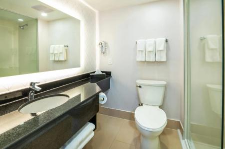 Comfort Inn & Conference Centre Airport - 9