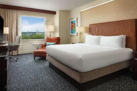 Hilton Orlando - 22