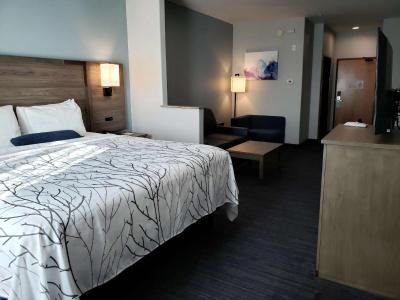 Best Western Plus San Antonio East Inn & Suites - 77