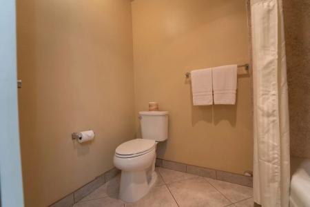 Royal Plaza Inn - 107