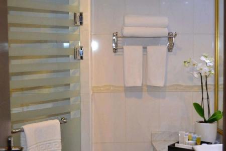 Best Western Plus - 5